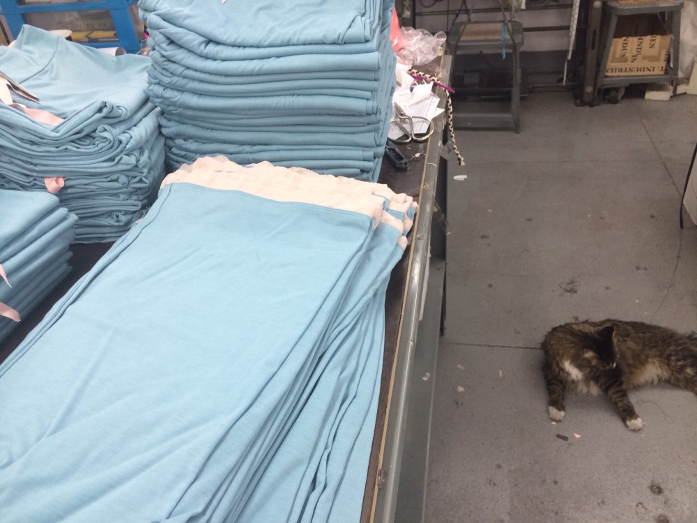 Between the Sheets - Made in NYC behind the scenes at New york city factory, packing and inspecting alongside factory cat