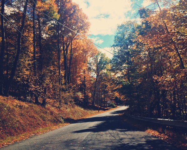 BTS photoshoot in Woodstock NY - the peak foliage drive to upstate NY