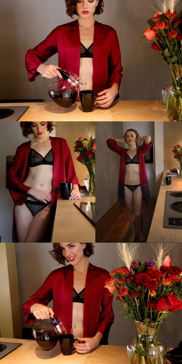 BTS Lingerie - Into the Woods Lookbook: red deco lace silk robe, black mesh bra and panty
