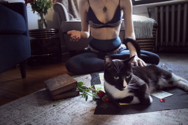Erica tarot, cats tarot & silk lingerie + ombre tights on BTSlingerie Blog
