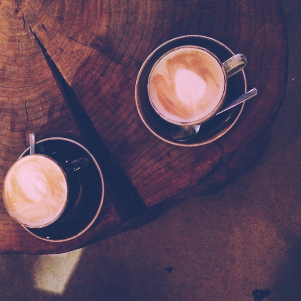 lattes near geysir in iceland